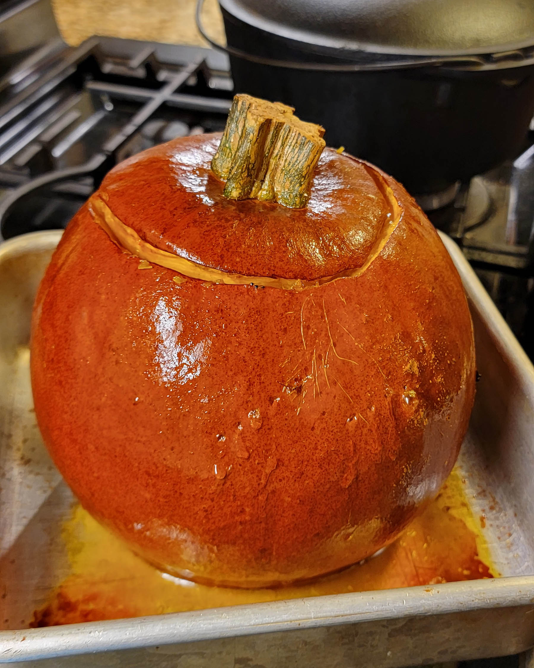 Baked pumpkin in pan